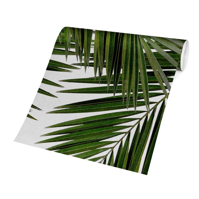 selbstklebende Tapete Blick durch grüne Palmenblätter