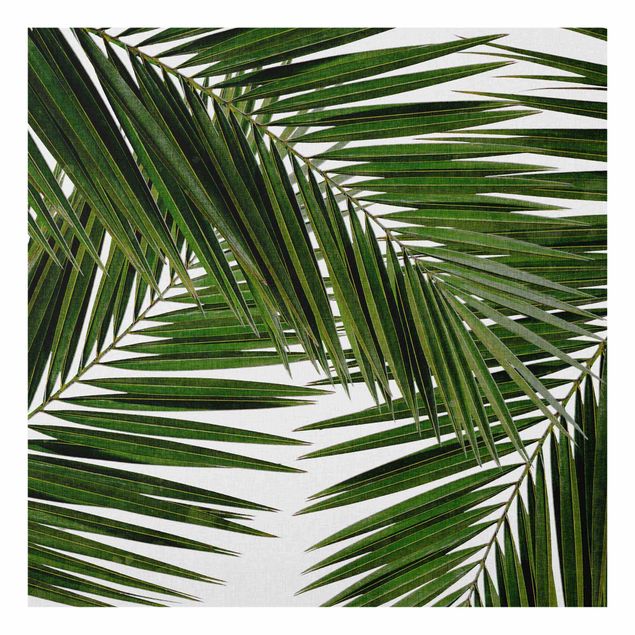 Glasbild - Blick durch grüne Palmenblätter - Quadrat