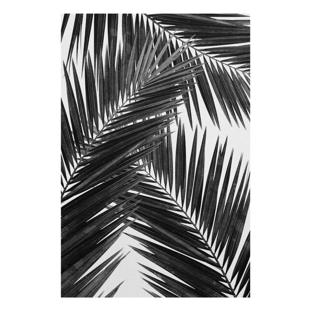 Glasbild - Blick durch Palmenblätter schwarz weiß - Hochformat