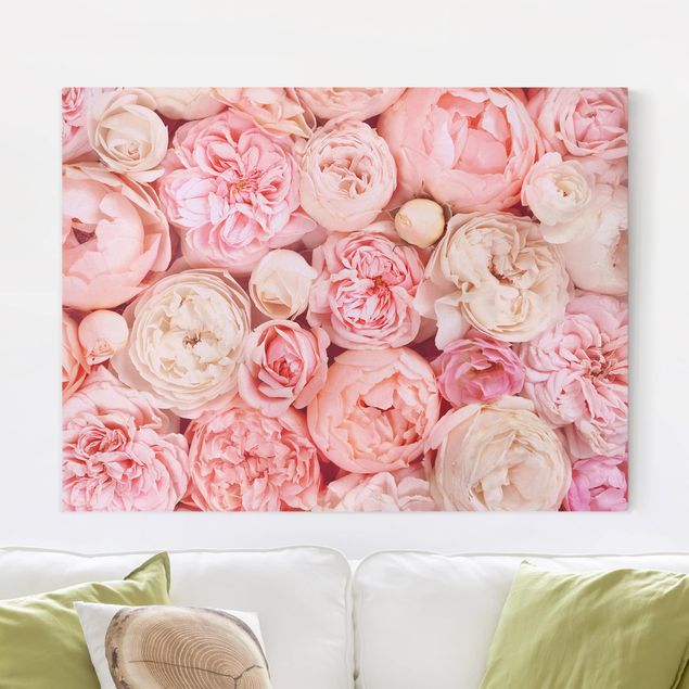 Rosen Bilder auf Leinwand Rosen Rosé Koralle Shabby