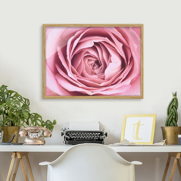 Moderne Bilder mit Rahmen Rosa Rosenblüte