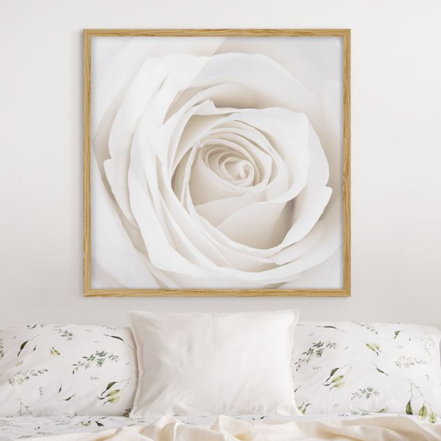 Blumen Bilder mit Rahmen Pretty White Rose
