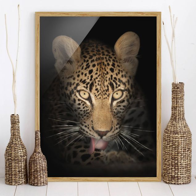 Moderne Bilder mit Rahmen Resting Leopard