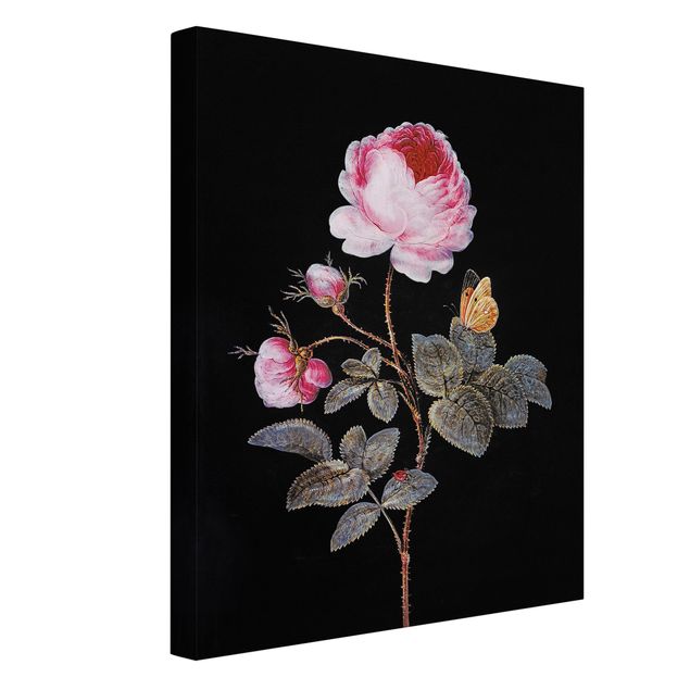Leinwandbilder Barbara Regina Dietzsch - Die hundertblättrige Rose