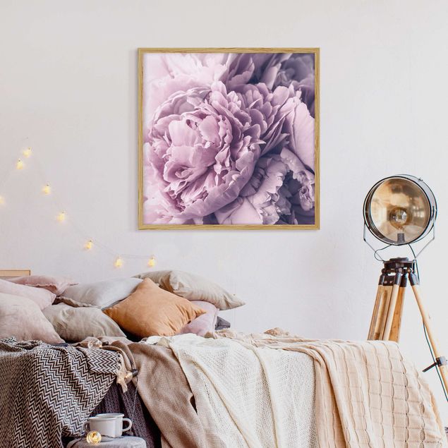 Moderne Bilder mit Rahmen Lila Pfingstrosenblüten