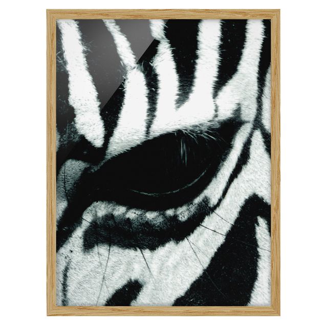 Bilder mit Rahmen Zebra Crossing No.4
