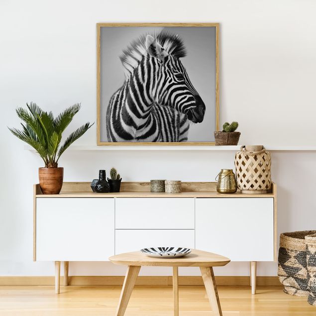 Moderne Bilder mit Rahmen Zebra Baby Portrait II