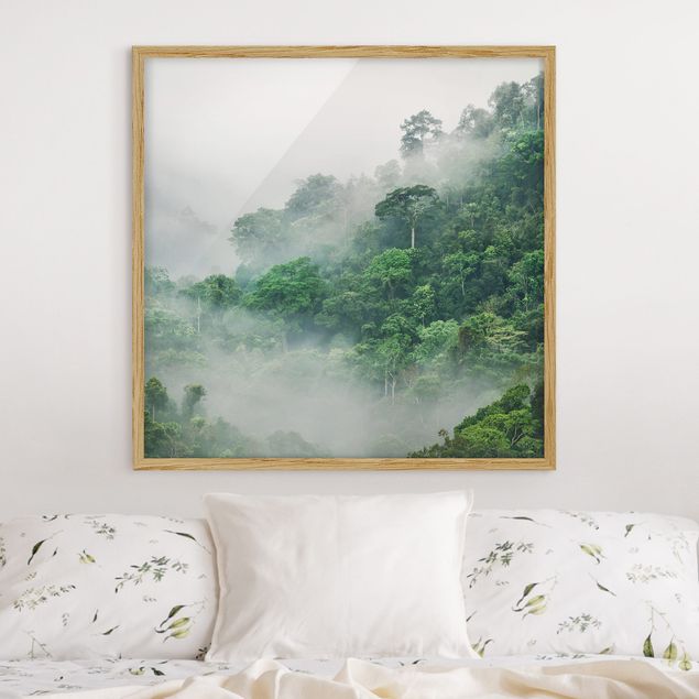 Natur Bilder mit Rahmen Dschungel im Nebel