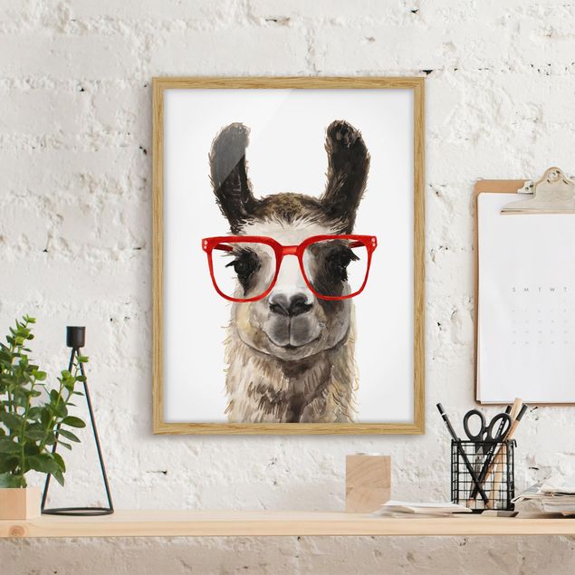 Tiere Bilder mit Rahmen Hippes Lama mit Brille II