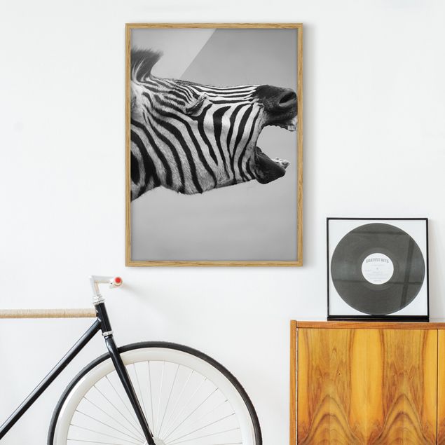 Tiere Bilder mit Rahmen Brüllendes Zebra II