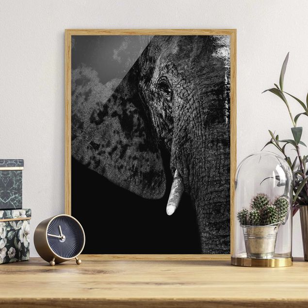 schwarz-weiß Bilder mit Rahmen Afrikanischer Elefant schwarz-weiß