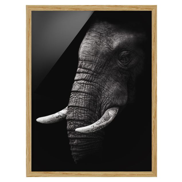 Wandbilder mit Rahmen Dunkles Elefanten Portrait