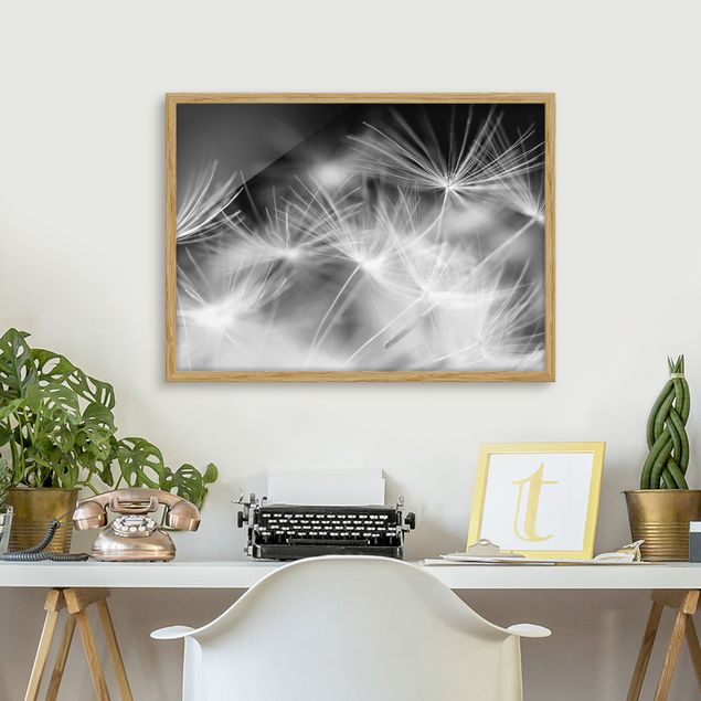 Moderne Bilder mit Rahmen Bewegte Pusteblumen Nahaufnahme auf schwarzem Hintergrund