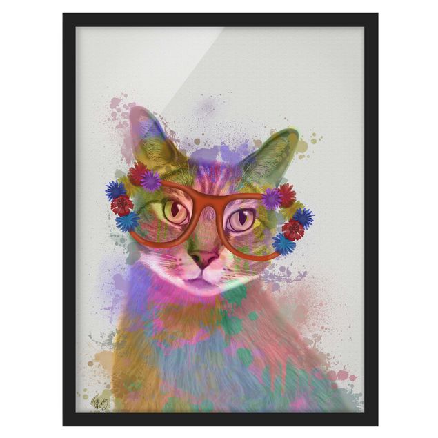 gerahmte Bilder Regenbogen Splash Katze