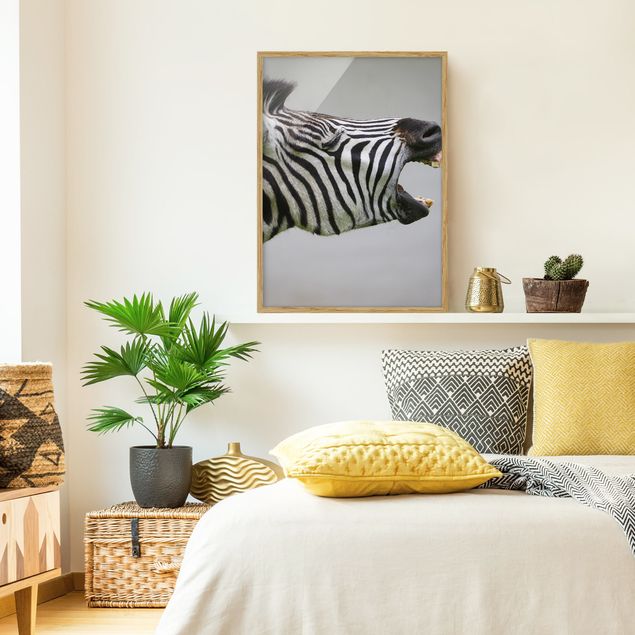 Tiere Bilder mit Rahmen Brüllendes Zebra