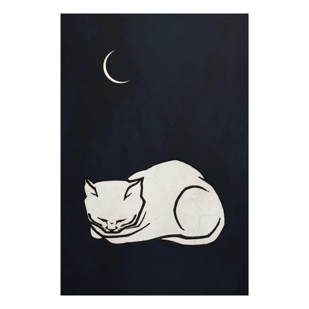 Bilder Schlafende Katze Illustration