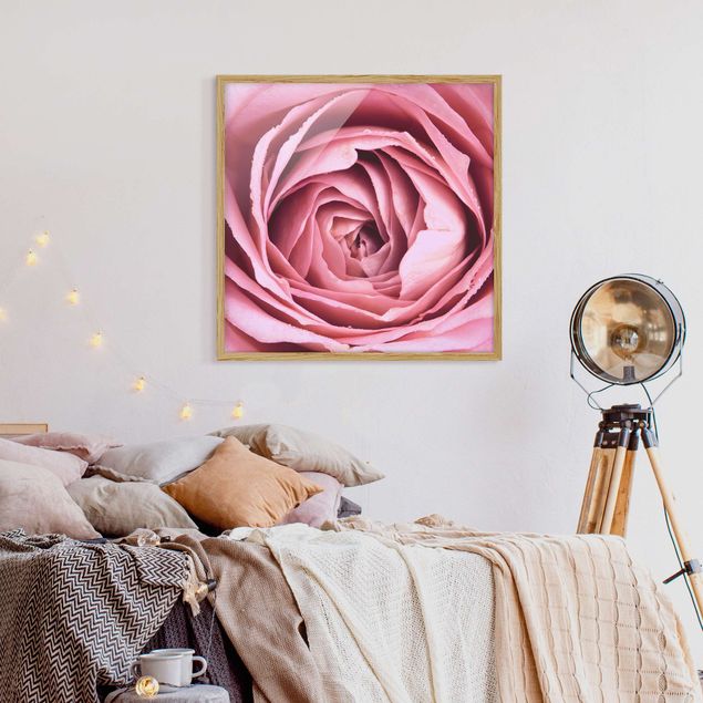 Blumen Bilder mit Rahmen Rosa Rosenblüte