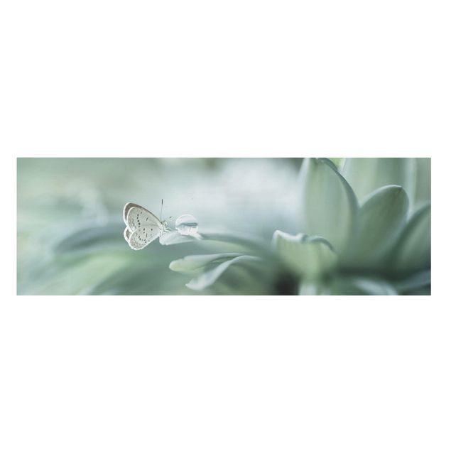 Leinwandbild - Schmetterling und Tautropfen in Pastellgrün - Panorama 1:3
