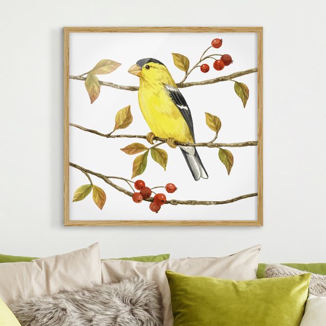 Moderne Bilder mit Rahmen Vögel und Beeren - Goldzeisig