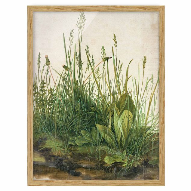 Dürer Bilder Albrecht Dürer - Das große Rasenstück