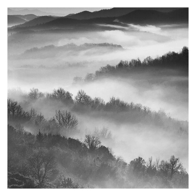 Fototapete - Nebel bei Sonnenuntergang Schwarz Weiß - Fototapete