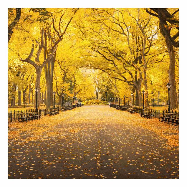 Glasbilder Herbst im Central Park