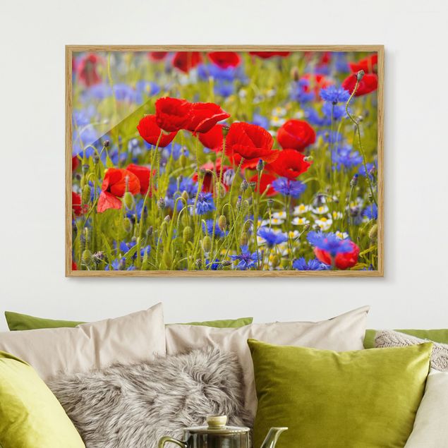 Moderne Bilder mit Rahmen Sommerwiese mit Mohn und Kornblumen