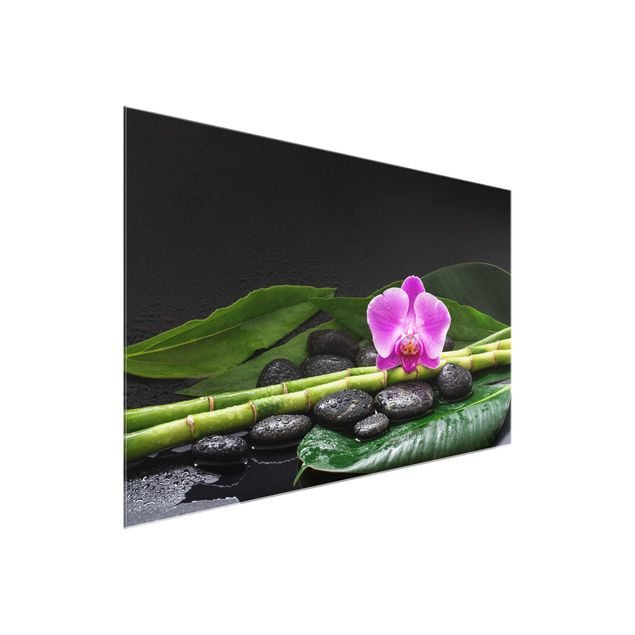 Bilder auf Glas Grüner Bambus mit Orchideenblüte