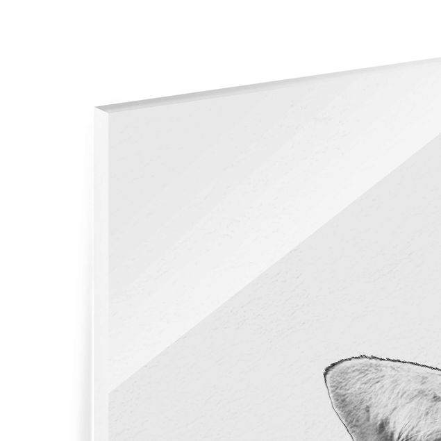Glasbilder Illustration Katze Zeichnung Schwarz Weiß