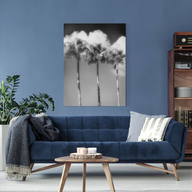 Leinwandbilder Naturmotive Palmen vor Himmel Schwarz-Weiß