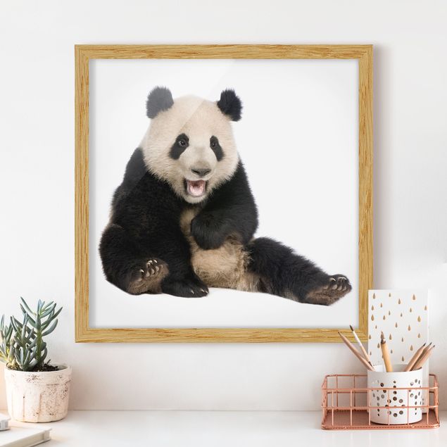 Moderne Bilder mit Rahmen Lachender Panda