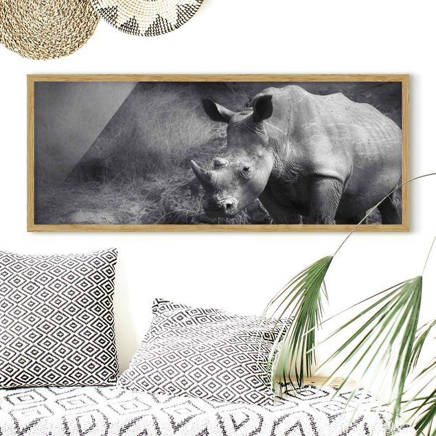 Moderne Bilder mit Rahmen Lonesome Rhinoceros