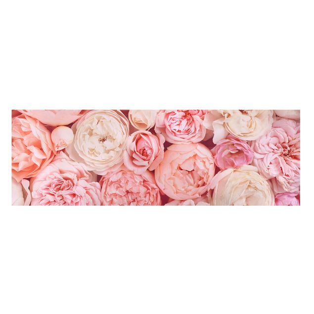Leinwandbild - Rosen Rosé Koralle Shabby - Panorama 1:3