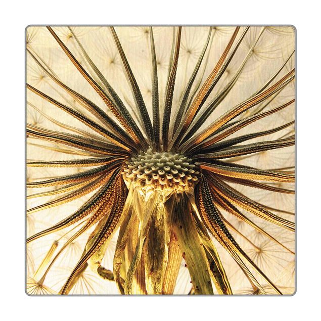 Teppich - Dandelion Close Up