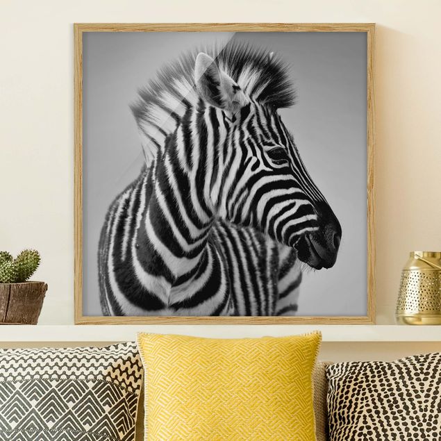gerahmte Bilder schwarz-weiß Zebra Baby Portrait II