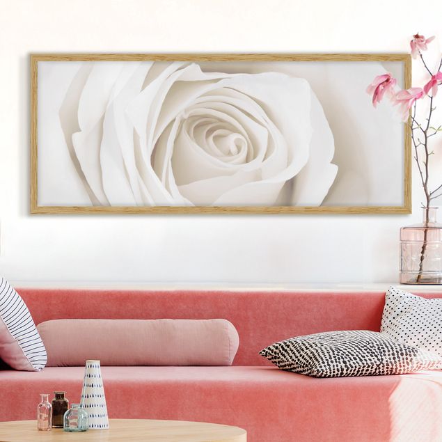 Moderne Bilder mit Rahmen Pretty White Rose