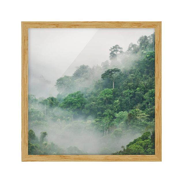 gerahmte Bilder Dschungel im Nebel