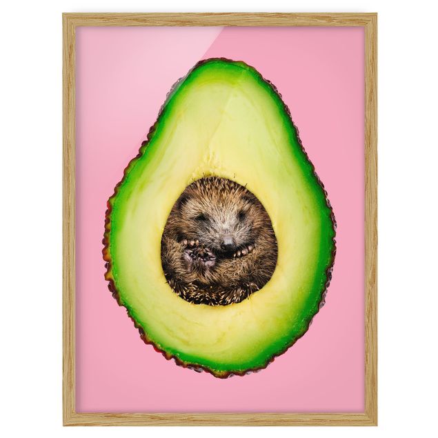 Bilder Avocado mit Igel