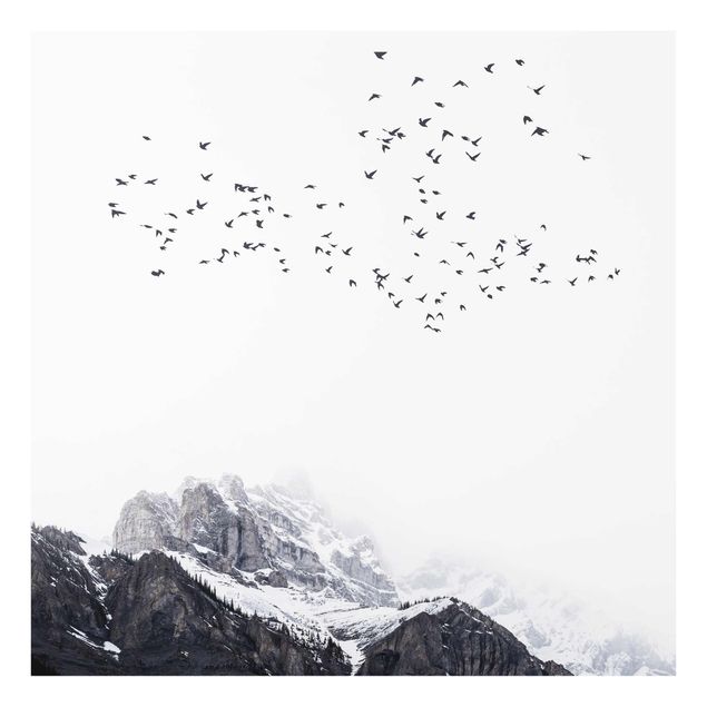 schöne Bilder Vogelschwarm vor Bergen Schwarz Weiß