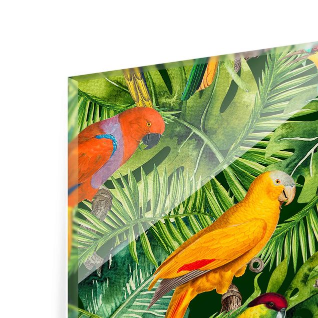 Glasbild - Bunte Collage - Papageien im Dschungel - Panorama