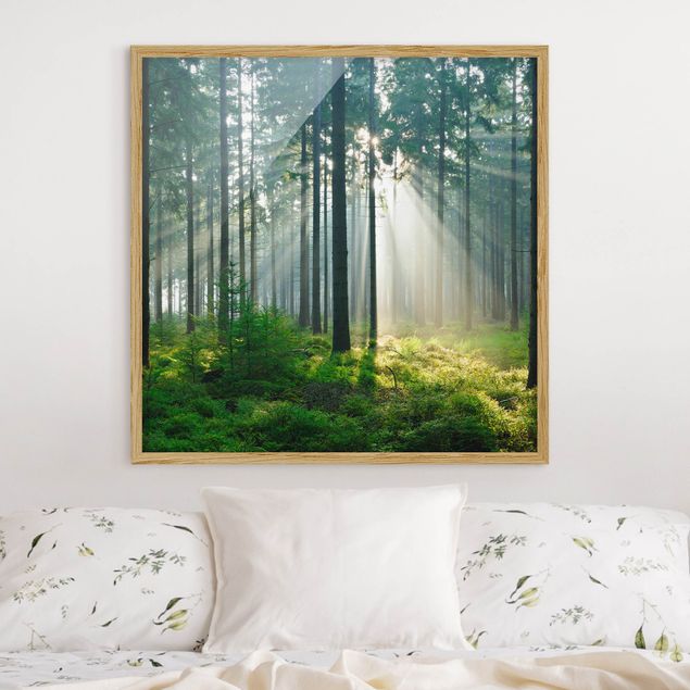 Natur Bilder mit Rahmen Enlightened Forest