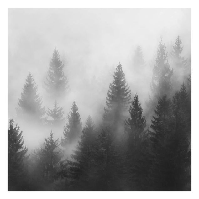 Fototapete - Nadelwald im Nebel Schwarz Weiß - Fototapete