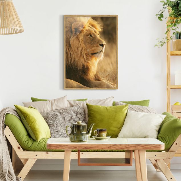 schöne Bilder Löwenkönig