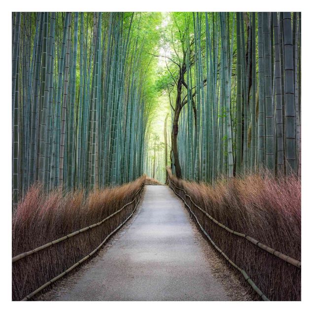 selbstklebende Tapete Der Weg durch den Bambus