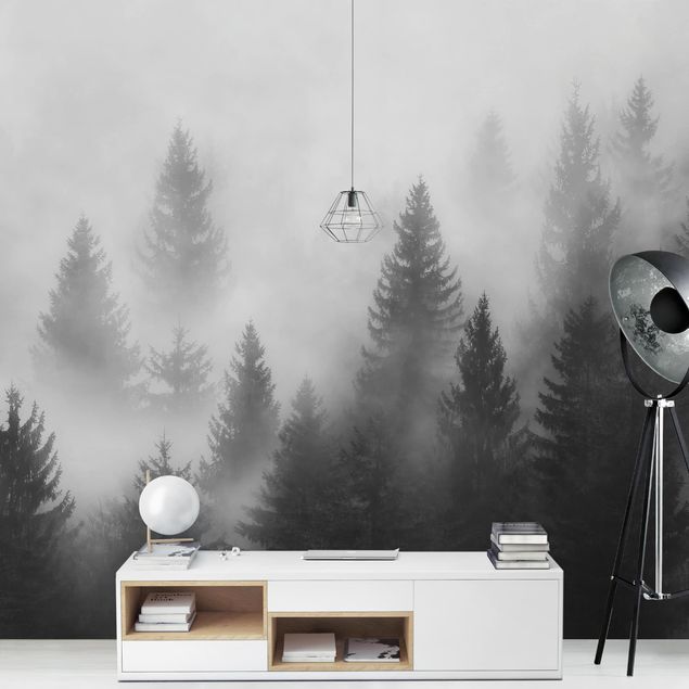 schöne Tapeten Nadelwald im Nebel Schwarz Weiß