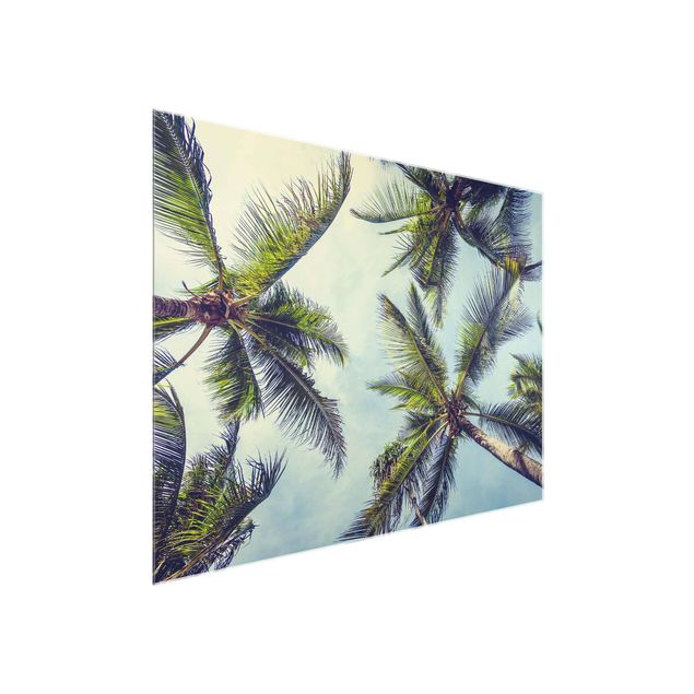 Wandbilder Die Palmen