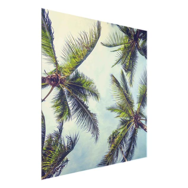 Glasbild - Die Palmen - Quadrat