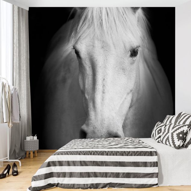 schöne Tapeten Dream of a Horse