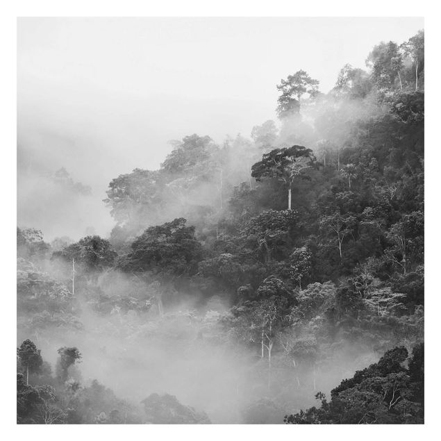 Fototapete selbstklebend Dschungel im Nebel Schwarz-Weiß