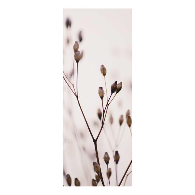 Glasbilder Dunkle Knospen am Wildblumenzweig